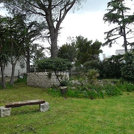 B&B Villa Garden Bisceglie Luaran gambar